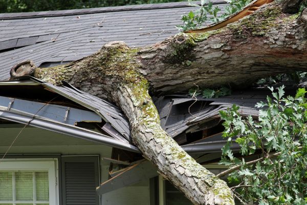 Cost of Storm Remediation in Canonsburg
