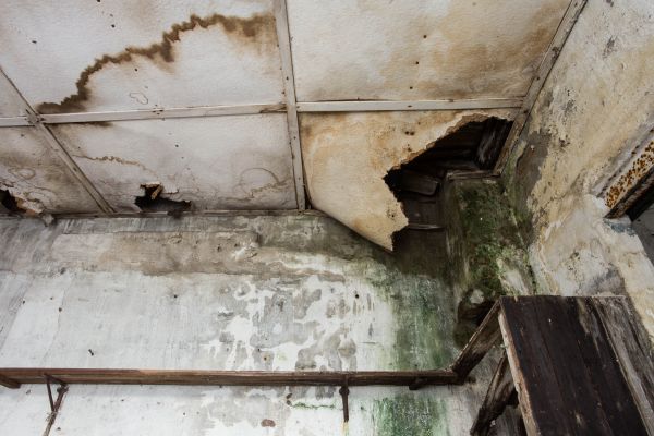 Cost of Water Damage Service in Canonsburg