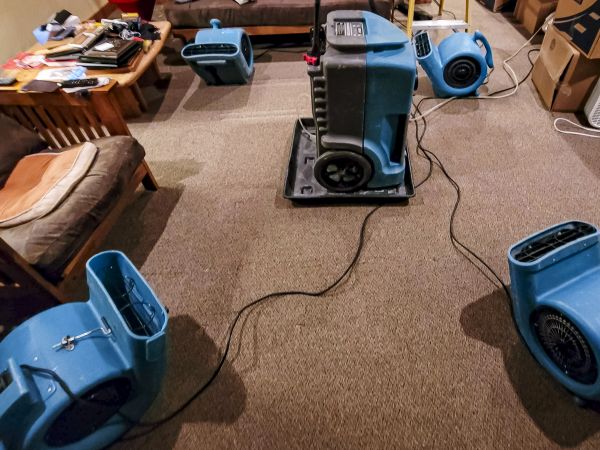 Cost of Flood Damage Recovery in Canonsburg