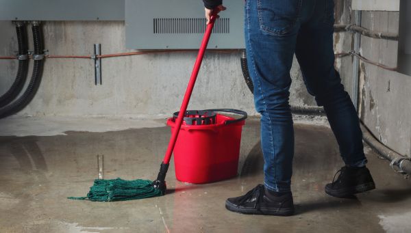 Cost of Flooded Basement Cleanup in Canonsburg
