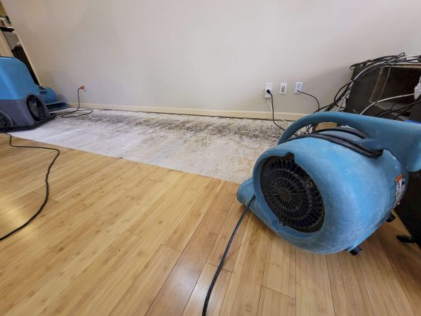 Cost of Water Damage Mitigation in Canonsburg