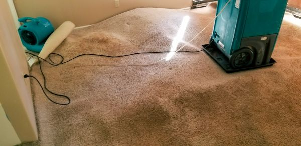 Cost of Flood Damage Cleanup in Canonsburg