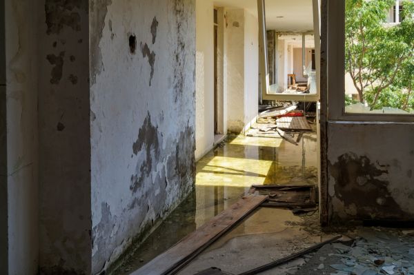 Cost of Water Removal Service in Canonsburg