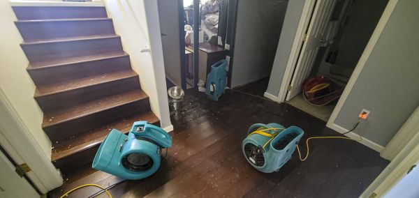 Cost of Water Damage Remediation in Canonsburg