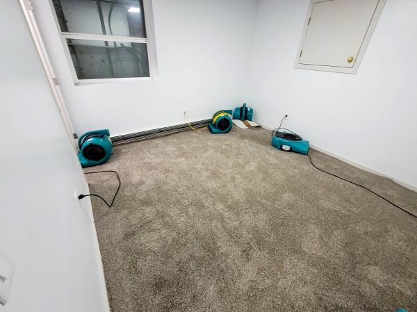 Cost of Flood Restoration Service in Canonsburg