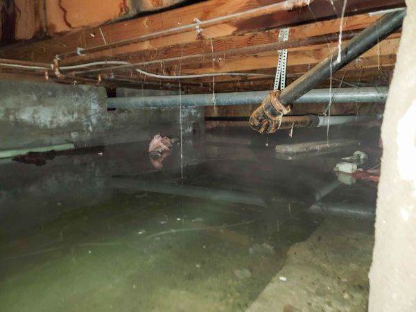 Cost of Water Mitigation Service in Canonsburg