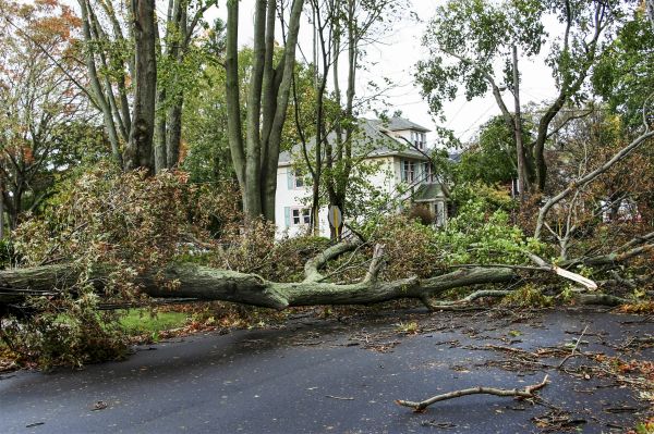 Cost of Tornado Damage Repair in Canonsburg