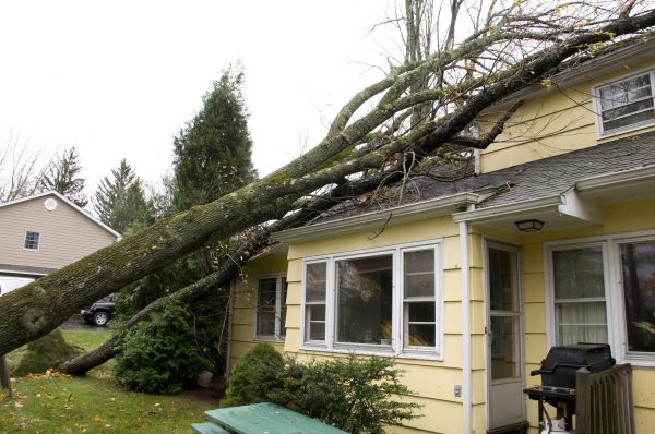 Cost of Hurricane Damage Repair in Canonsburg