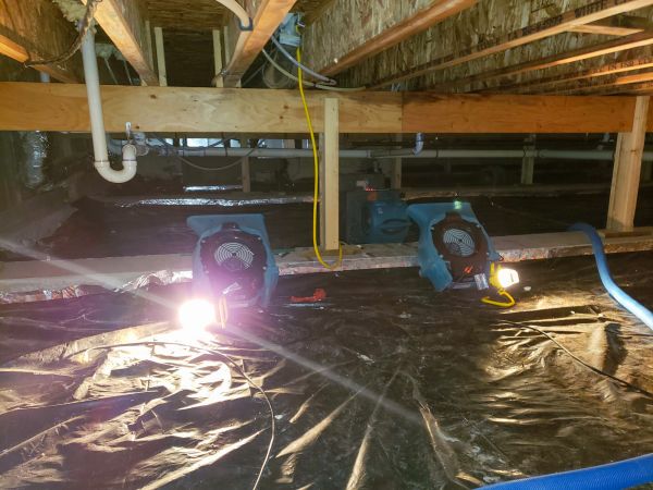 Cost of Crawlspace Water Removal in Canonsburg